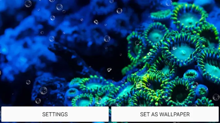 Aquarium Live Wallpaper android App screenshot 0