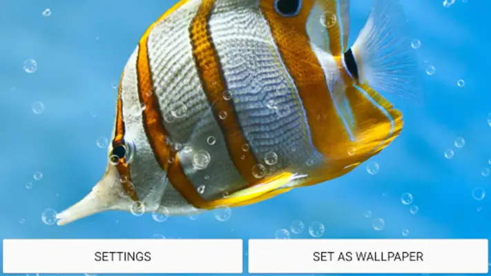 Aquarium Live Wallpaper android App screenshot 1