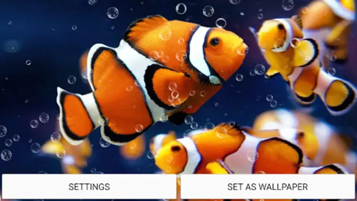 Aquarium Live Wallpaper android App screenshot 2