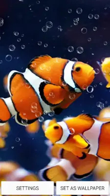 Aquarium Live Wallpaper android App screenshot 5